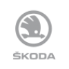 Skoda Logo